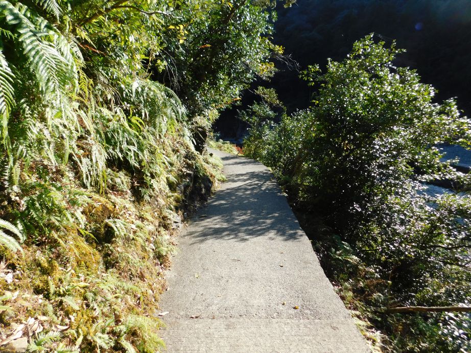 山彦橋への道
